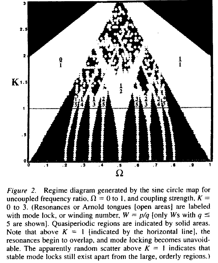 Arnold tongues of the sine circle map