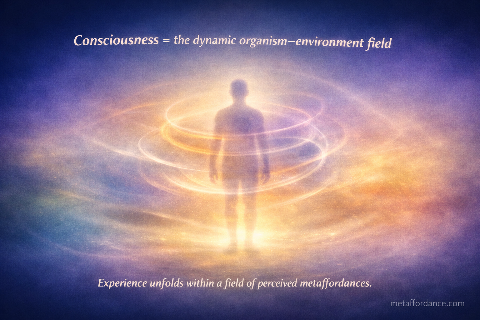 consciousness from an ecological perspective
