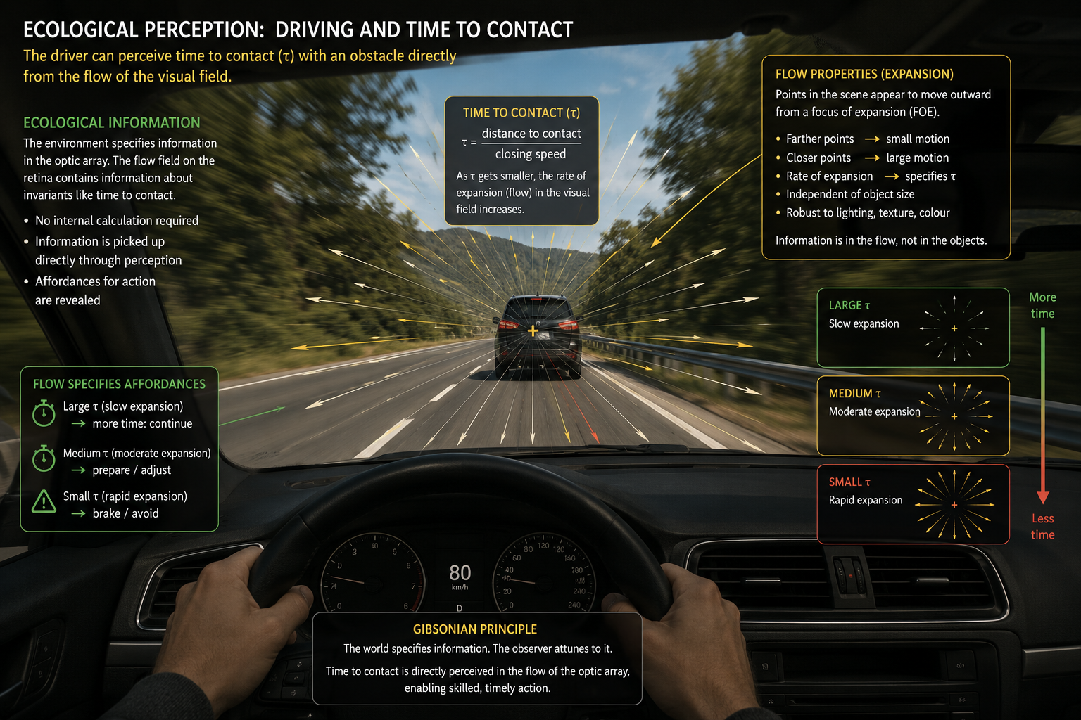Ecological information for driving - attention and distraction