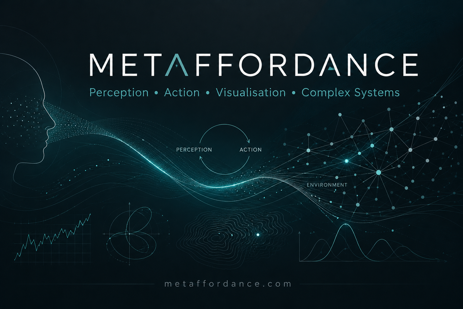 Metaffordances and perception-action dynamics